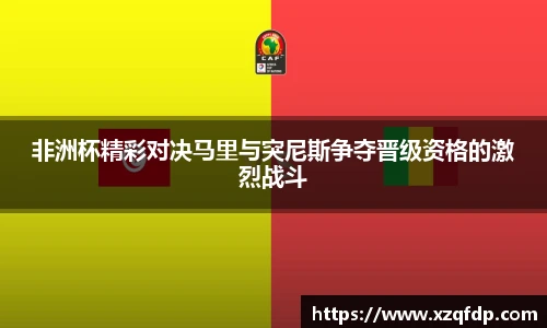 非洲杯精彩对决马里与突尼斯争夺晋级资格的激烈战斗