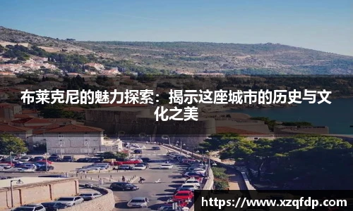 布莱克尼的魅力探索：揭示这座城市的历史与文化之美